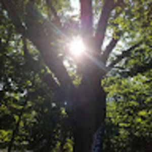 Meet your Posher, Dallas